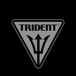 Trident Safety