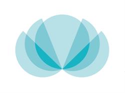 Spiritual Health Association