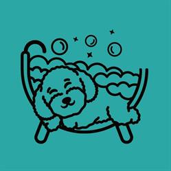Lazzzypaws SPA Grooming Salon