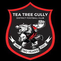 Tea Tree Gully Football Club