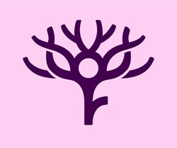 Regional Disability Support Services