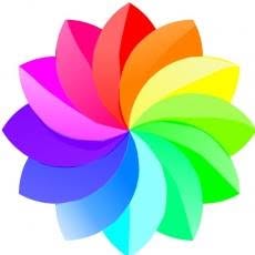 Focus Disability Supports