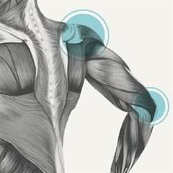 A B Myotherapy