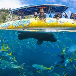 Ocean Rafting