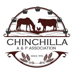 Chinchilla Show