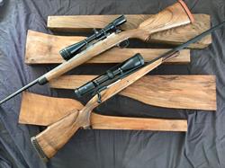 Greg Hall Gun Stocks