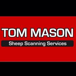 Tom Mason Sheep Scanning Services