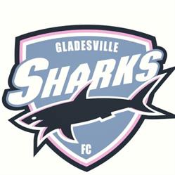 Gladesville Sharks FC
