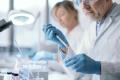 Hair Steroid Testing