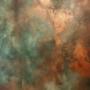 A Sydney Venetian plaster wall in a mix of copper and green patina colours