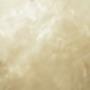 A Sydney Venetian plaster wall in a soft champagne colour with a high-gloss finish
