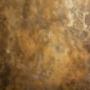 A Venetian plaster wall with a rich bronze hue and a matte finish in Sydney
