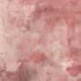 A soft dusty rose Venetian plaster wall with a slightly matte finish in Sydney