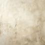 A soft ivory Venetian plaster wall with a slightly textured finish in Sydney