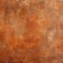 A warm burnt sienna Venetian plaster wall with a matte finish