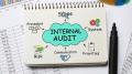 NDIS Internal Audit