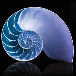 Serenity Hypnotherapy Sydney