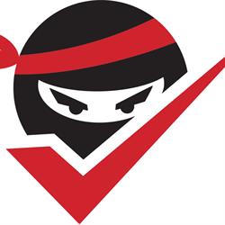 Accounting Ninjas
