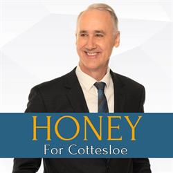 David Honey MLA