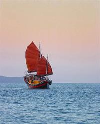 Shaolin Port Douglas