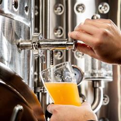 IronBark Hill Brewing Co.