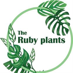 The Ruby Plants - Affordable Nursery Brisbane