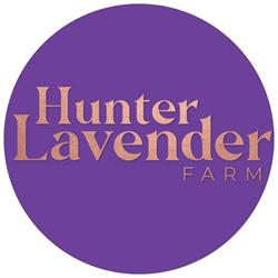 Hunter Lavender Farm