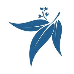 Yarra Family Lawyers
