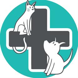 Aura Veterinary Hospital