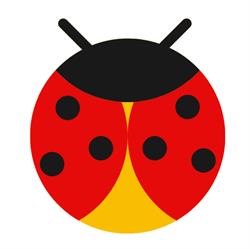 Ladybird Design Creative Workshops & Jewellery, Blue Mountains
