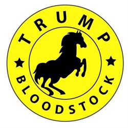 Trump Bloodstock Pty Ltd