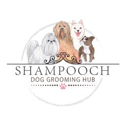 Shampooch Dog Grooming Hub