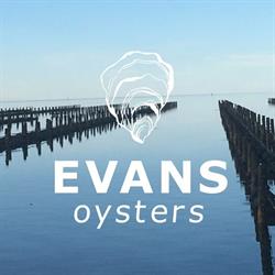 Evans Oysters