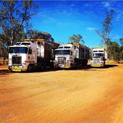 GOODALL TRANSPORT QLD