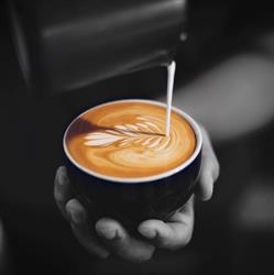 Q3 Coffee Lounge