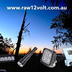 Raw 12 volt