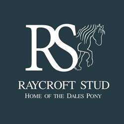 Raycroft Stud
