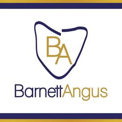 Barnett Angus