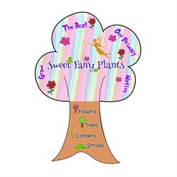 Sweet Fairy Plants