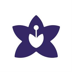 Pelvic Floor Exercise
