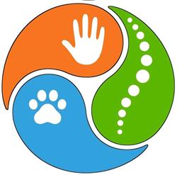 Clovelly Park Chiropractic