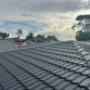 Roof Restoration