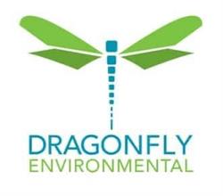 Dragonfly Environmental