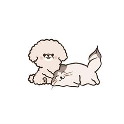 SummerPet Studio