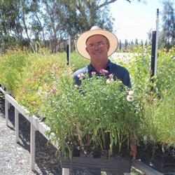 Riverina Highlands Landcare Network + Nursery