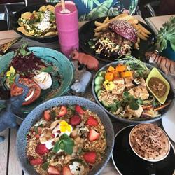 Nature cafe/bar