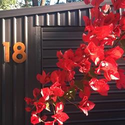 Red Door Art Studio