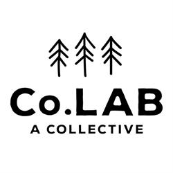 Co.LAB a Collective