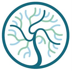Synapse Psychology