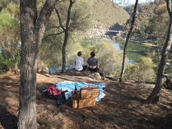 Wallaby Walkabout Tours